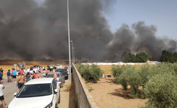 Un incendio arrasa un camping de Mollina y obliga a desalojar a 90 personas