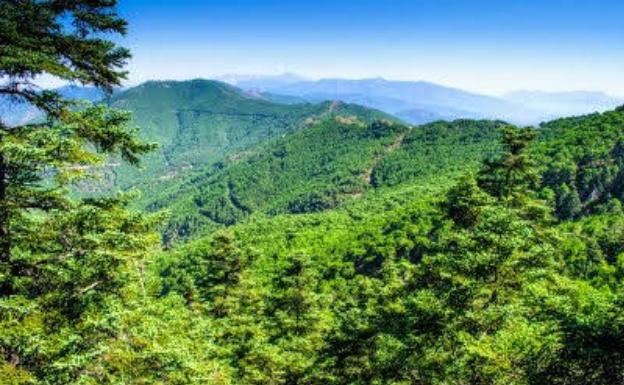 La Plataforma Sierra Bermeja e IU Estepona presentan alegaciones a la declaración de Parque Nacional Sierra de las Nieves
