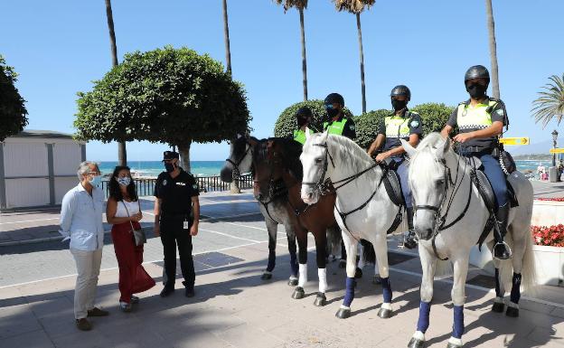 La Policía Local de Marbella amplía el Escuadrón de Caballería con cuatro nuevos ejemplares de la Yeguada de la Cartuja