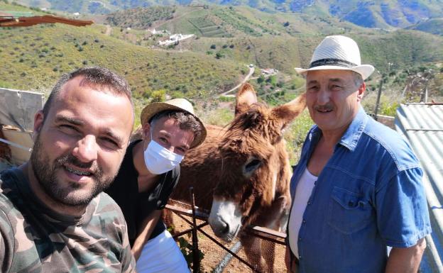 La burra Baldomera, un fenómeno viral