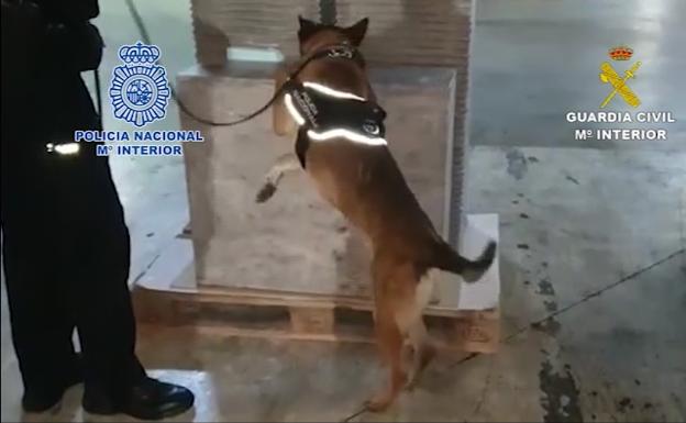 Detienen a diez miembros de una banda asentada en la Costa del Sol que distribuía droga en cajas de galletas