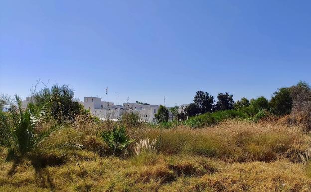 Estepona cede una parcela en Guadalmansa para la construcción de un centro residencial para mayores