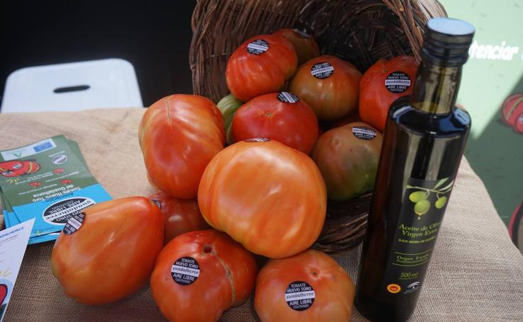 Tradicional subasta benéfica del tomate Huevo de Toro en Coín: 1.550 euros por el mejor lote