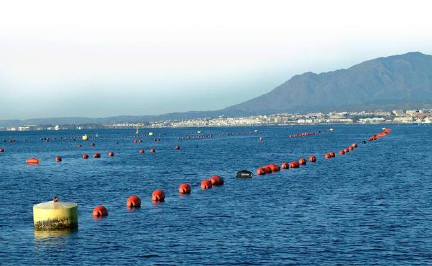 Destinan 1,5 millones para ayudar a la acuicultura marina y continental de Andalucía por los perjuicios del Covid-19