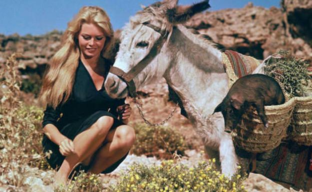 Cuando Brigitte Bardot se alojó con su burro Romeo en un hotel de Torremolinos