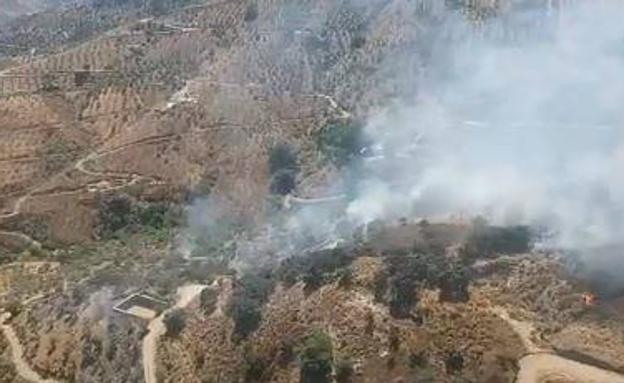 Controlado un incendio forestal entre Totalán y Málaga