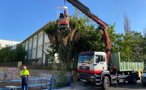 Rincón de la Victoria limpia las desembocaduras de 14 arroyos para prevenir inundaciones