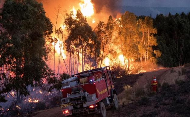 Se incorporan 24 aeronaves a las labores de extinción del incendio forestal en Huelva