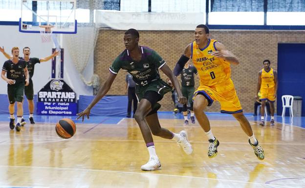 El uno a uno de los jugadores del Unicaja ante el Gran Canaria