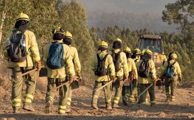 Controlado el incendio forestal declarado en Gaucín