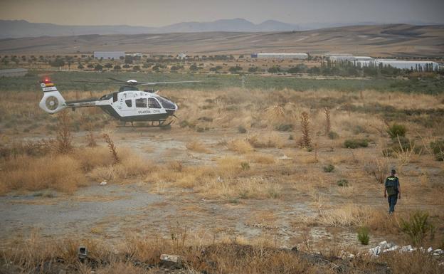 Vuelven a avistar a la pantera que causa la alarma en Granada