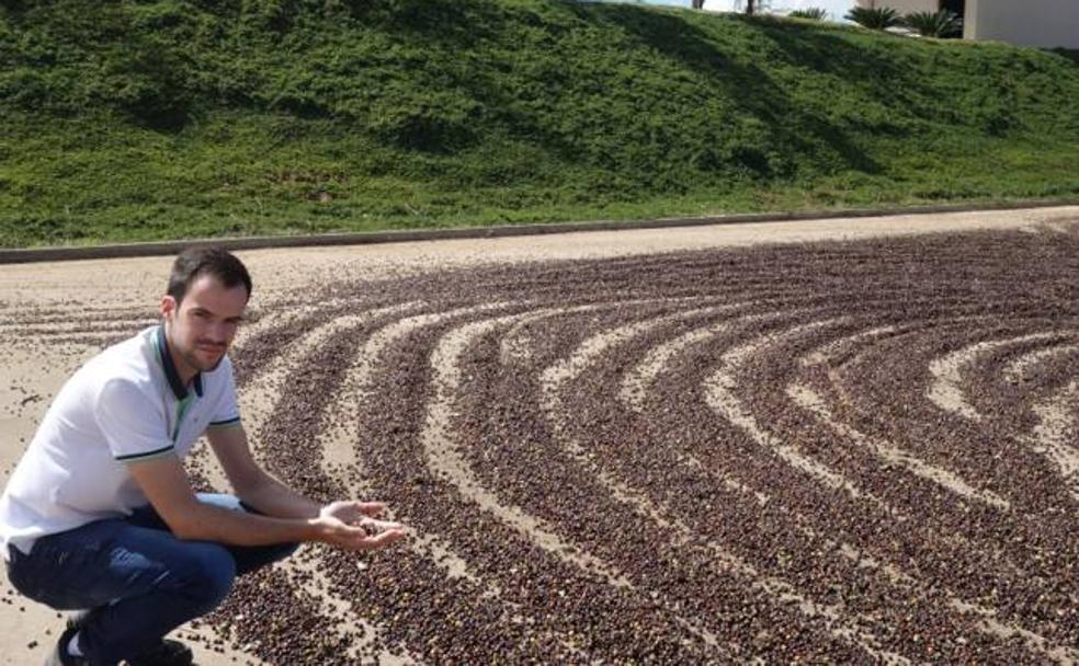 Cafés de África y América con un tueste malagueño