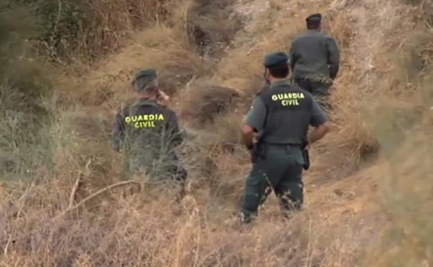 Una fotografía de la supuesta pantera de Granada tomada por un ciclista desata las alarmas