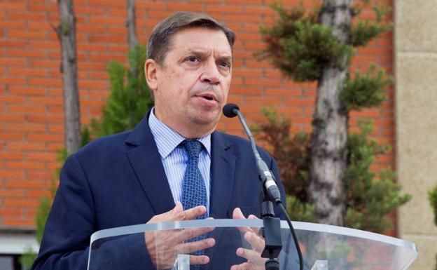 Organizaciones agrarias piden al Ministerio flexibilidad en pagos y precios del aceite para evitar el hundimiento del sector