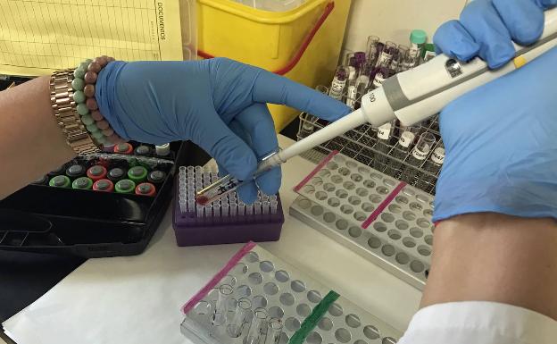 El Regional de Málaga es el hospital andaluz que hace más trasplantes de médula ósea y el segundo de España