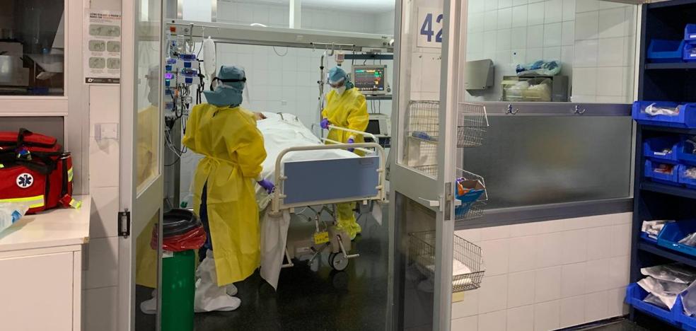 Nueva jornada negra de coronavirus en Málaga con nueve muertes que elevan a 52 los decesos este mes 1 Nueva jornada negra de coronavirus en Málaga con nueve muertes que elevan a 52 los decesos este mes 1