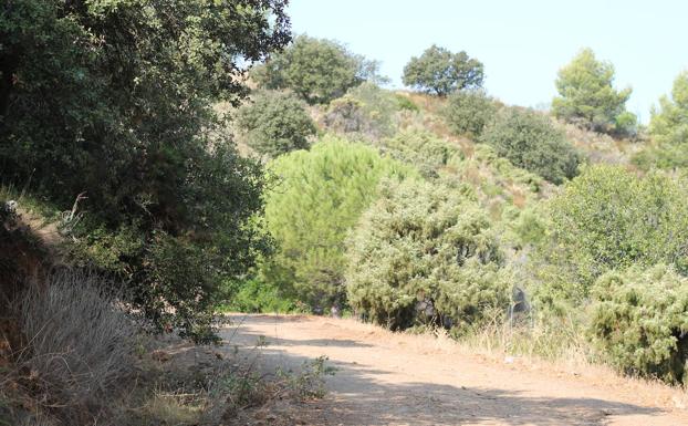 Ruta senderista El Cerrado-Mirador del Cochino (SL-A 137)