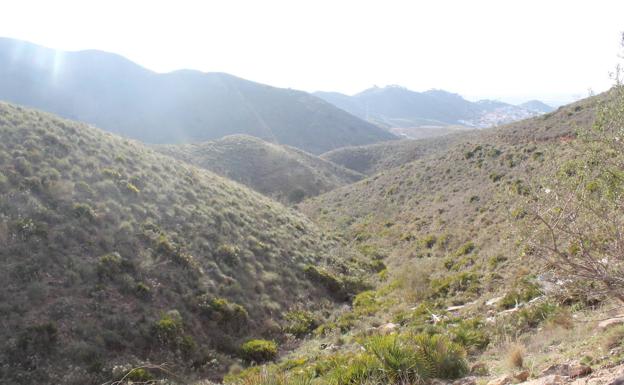 Ruta senderista: Puerto de la Torre-Ermita de los Verdiales