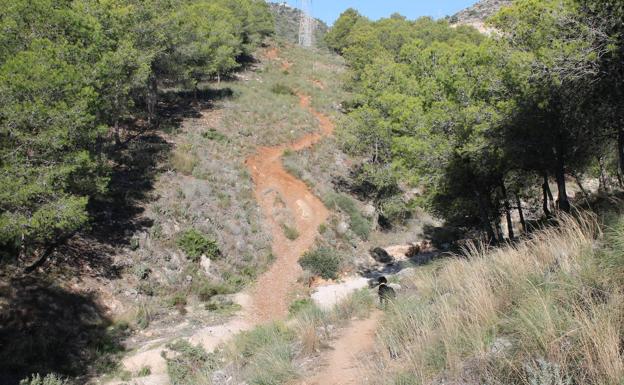 Ruta senderista: Ruta de los Puertos de Torremolinos (PR-A-172)