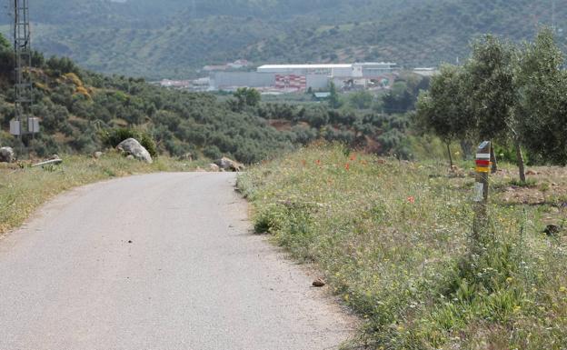 Ruta senderista: La ruta del Turón, de Ardales a El Burgo