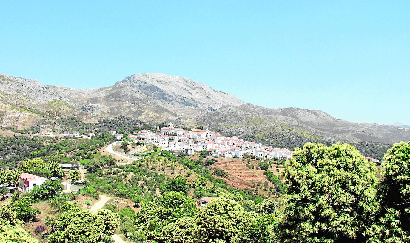 Cartajima, color en el techo de la Serranía