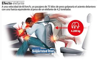 La advertencia de la DGT sobre el 'efecto elefante'
