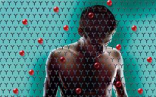 Coronavirus: todas las respuestas sobre los anticuerpos