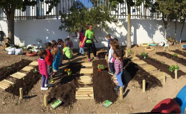 Casi medio centenar de colegios públicos se sumarán este año al plan de huertos escolares en Málaga