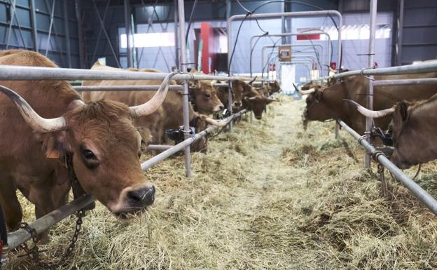 La mitad de los españoles desconocen los factores de una dieta sostenible