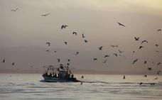El 'brexit' de la pesca, pendiente de cesiones de la UE