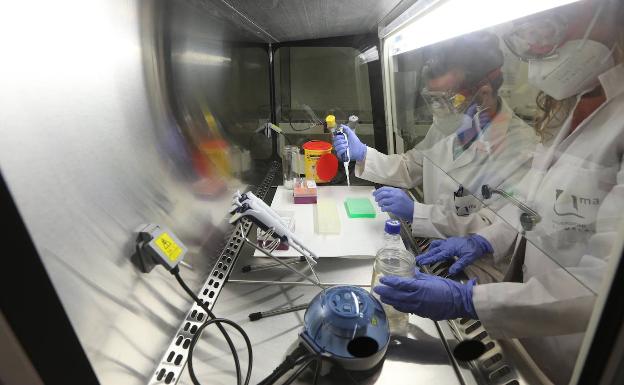 La Universidad de Málaga pone a disposición de Salud un laboratorio que puede hacer 400 PCR diarias