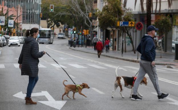 ¿Puedo sacar a pasear al perro durante el toque de queda nocturno?