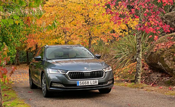 Fotogalería del nuevo Skoda Octavia Combi 2.0 TDi 2020