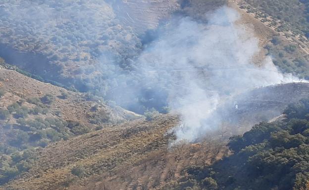 Extinguido un incendio forestal en Salares
