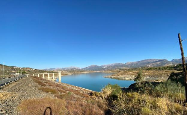 Agricultura confirma la presencia del mejillón cebra en el embalse de La Viñuela