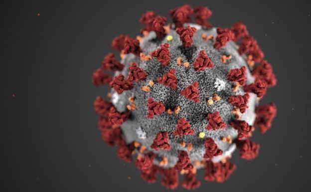 Covid-19: Descubren un nuevo y misterioso «gen oculto» dentro del coronavirus