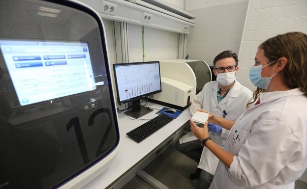 Salud propone a la Universidad de Málaga un convenio para hacer pruebas PCR en sus laboratorios