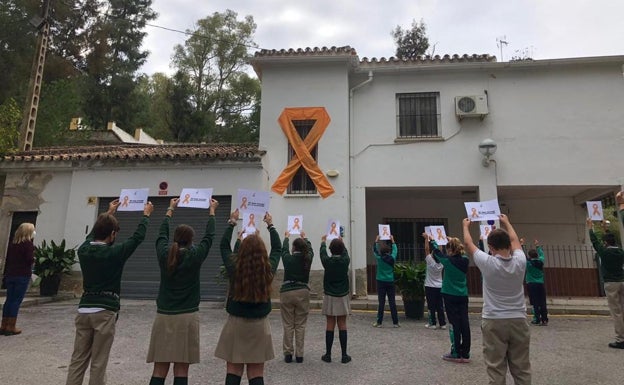 Una caravana de coches recorrerá mañana el centro de Málaga en protesta por la ley Celaá