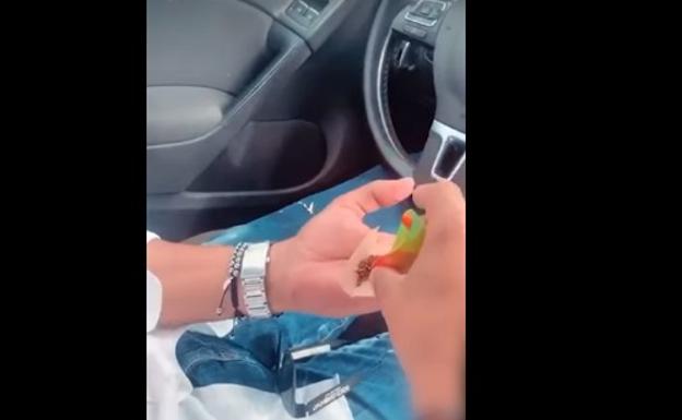 Graba a su amigo conduciendo con las rodillas mientras se lía un porro y lo sube a Instagram
