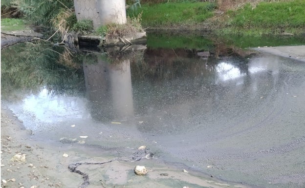 Ecologistas denuncian vertidos reiterados de la EDAR de Vélez por un mal sistema de funcionamiento