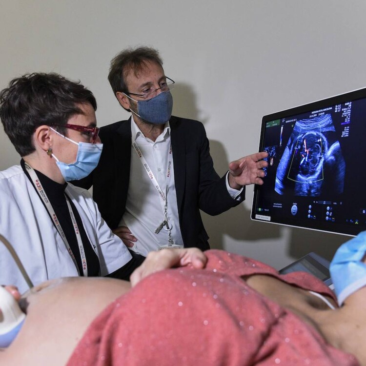 Dos hospitales de Barcelona desarrollarán una placenta artificial