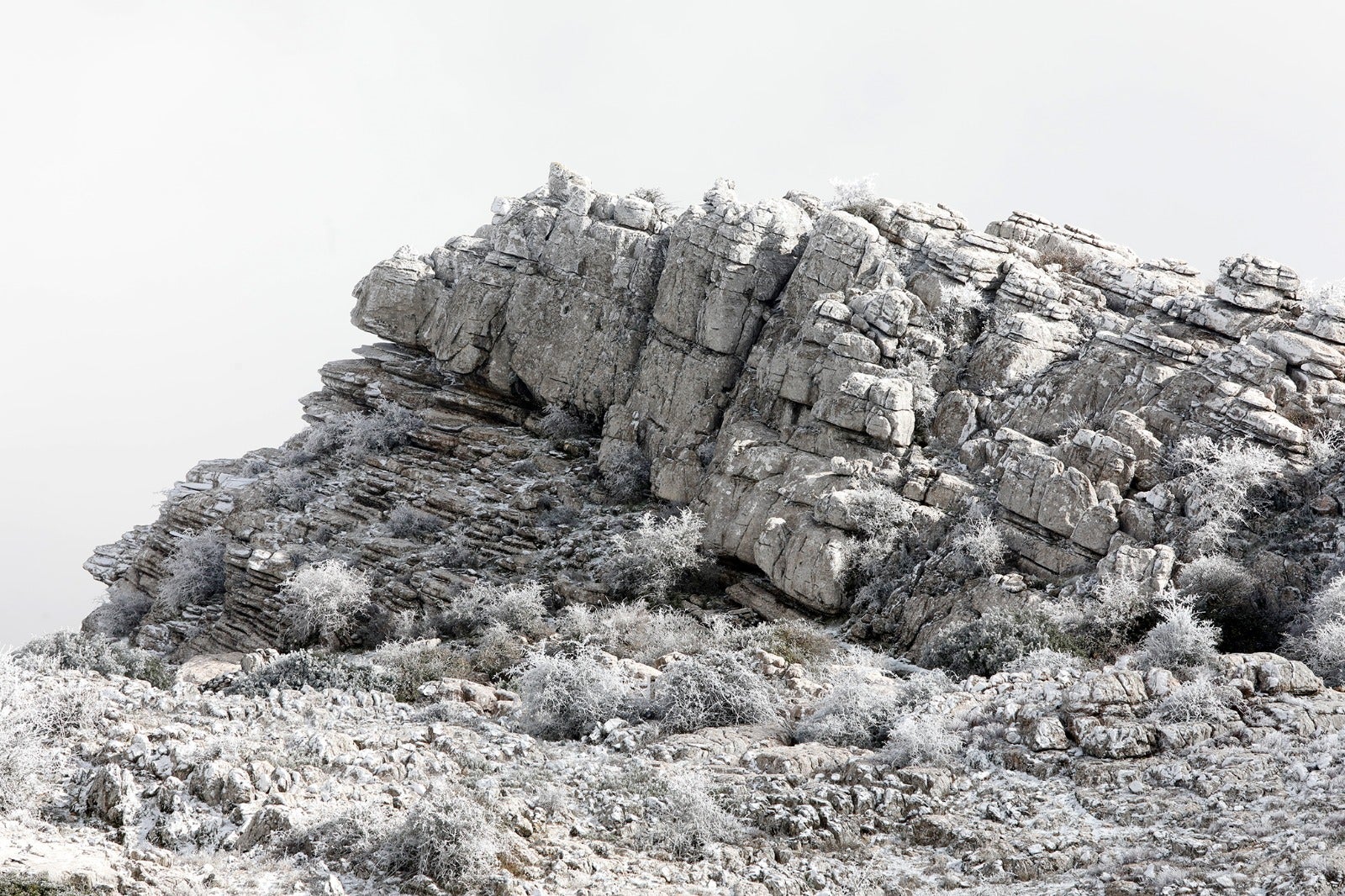 Nieve en Málaga: el frío invernal deja un manto blanco en Alfarnate y El Torcal