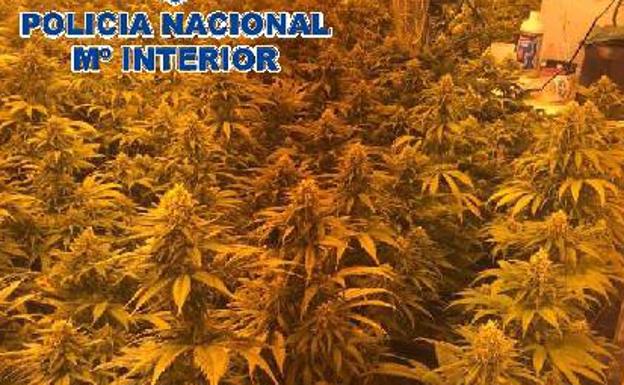 Tres detenidos tras un operativo contra el narcotráfico en Los Asperones