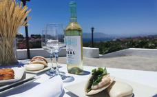 Cocina para toda la familia en el entorno natural y amable de Finca El Tinto