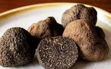 Trufa, el manjar misterioso