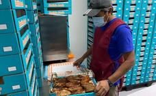 Málaga ya no es el reino de la batata