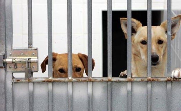Camino del sacrificio cero
