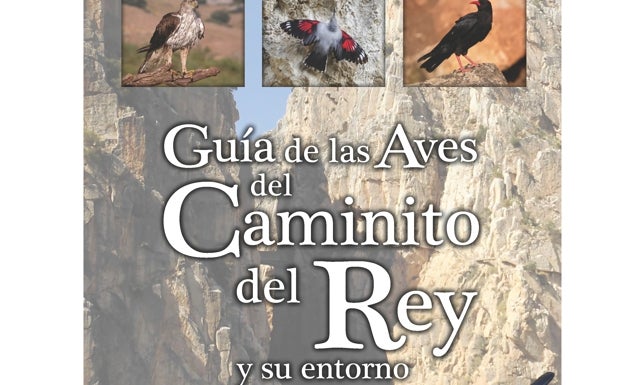 Una nueva guía gratuita de la Diputación recoge información sobre las aves que pueden observarse en el Caminito del Rey