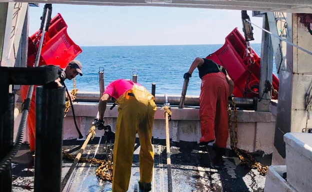 El sector pesquero y la Junta califican de «fracaso» el acuerdo que recorta los días de pesca del arrastre en el Mediterráneo
