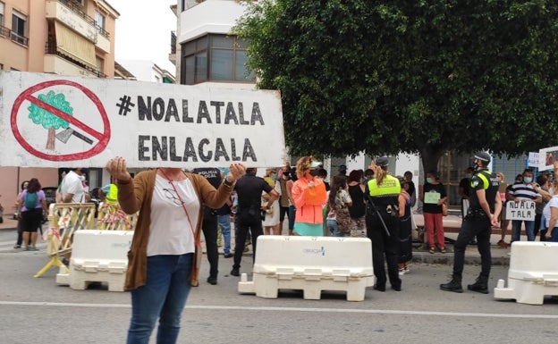Rincón de la Victoria opta por colocar palmeras en la avenida de La Cala del Moral a pesar de las protestas vecinales